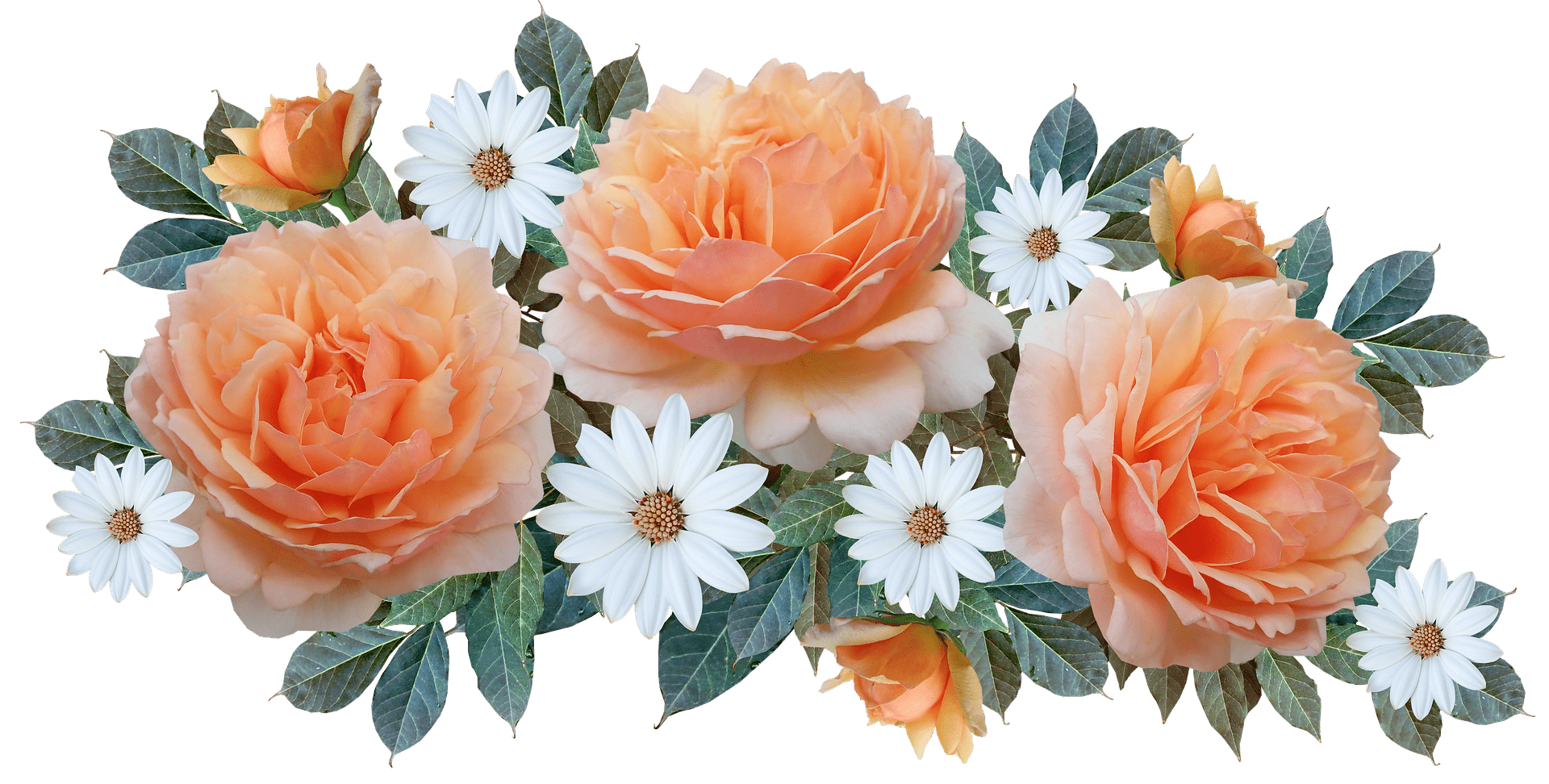 flowers-4804360_1920